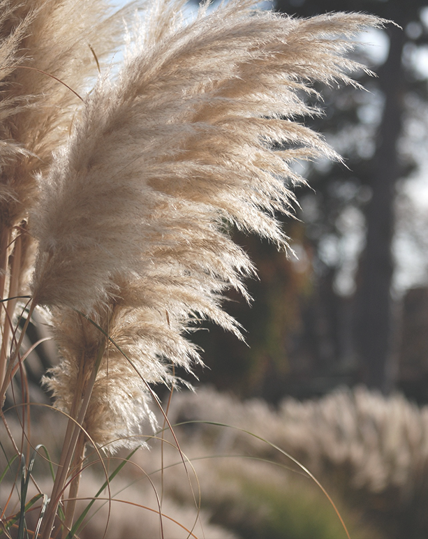 interjero vizualizacijos